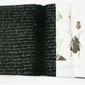 1981, 345×245 mm, akryl, tuš, Palimpsest (Robert Musil: Muž bez vlastností), sig.