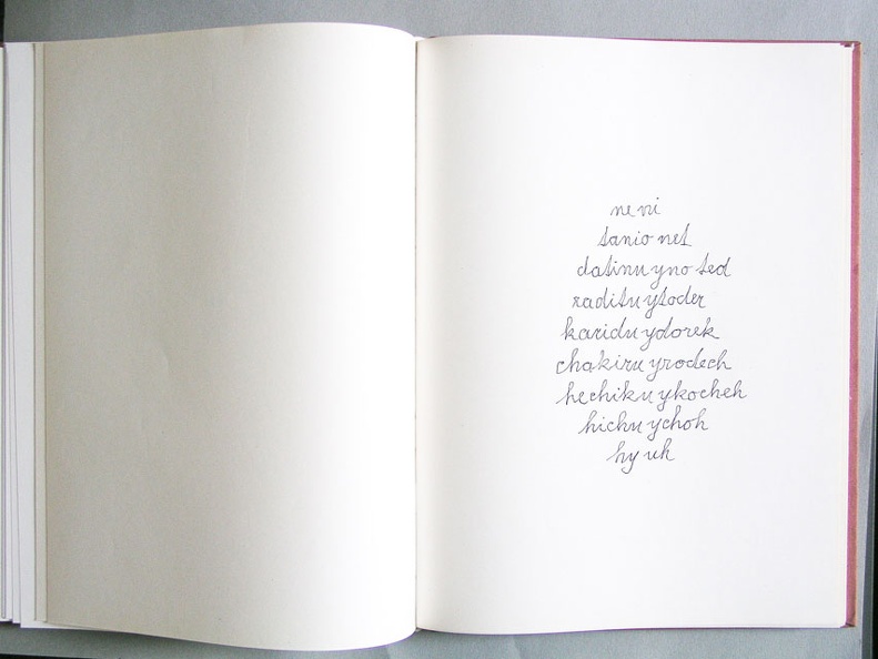 1982-95, 270×210 mm, inkoustové pero, Textová kniha, sig.