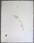 1969, 460×350 mm, koláž, akryl, provázek, papír, sig.