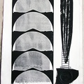 1965, 450×300 mm, reliéfní tisk, tiskařská barva, papír, kolážová grafika, sig.