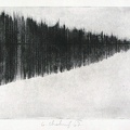 1967, 170×245 mm, suchá jehla, tiskařská barva, papír, sig.