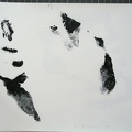 1978, 210×320 mm, akryl, papír, ruce, sig.