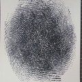 1978, 300×220 mm, razítková barva, papír, palec, sig.