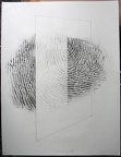 1979, 650×500 mm, tužka, papír, sig.