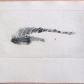 1976, 110×210 mm, reliefní tisk, otisk ruky, barva, papír, Zrcadlem, sig.