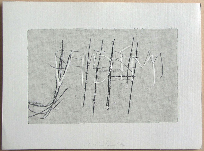 1976, 140×210 mm, reliefní tisk, barva, tužka, papír, Vidím, sig., soukr.sb.12