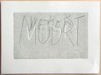 1976, 140×210 mm, reliefní tisk, barva, tužka, papír, Vidím, sig.