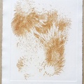 1970, 310×210 mm, reliéfní tisk, stopa rzi po železných pilinách, papír, Stopa magnetu, sig., líc, soukr. sb. 12