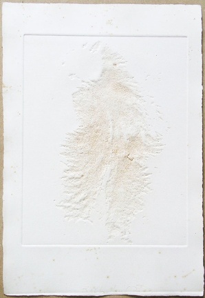 1970, 310×210 mm, reliéfní tisk, stopa rzi po železných pilinách, papír, Stopa magnetu, sig.