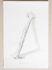 1975, 250×170 mm, tužka, papír, sig.