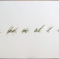 1983, 420×600 mm, pastelky, papír, sig., soukr. sb. 12