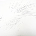 1994, 610×860 mm, obouruční kresba, tužka, papír