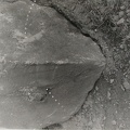 1977, 233 × 228 mm, perforace, fotografie