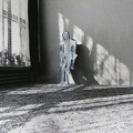 1981, 303 × 397 mm, akryl, fotografie