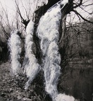 1982, 333 × 304 mm, akryl, fotografie