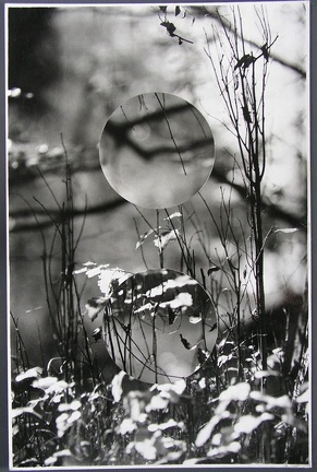 1976, 318 × 208 mm, raznice, fotografie, lepenka