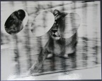 1977, 272 × 340 mm, raznice, fotografie, lepenka