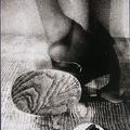 1977, 372 × 177 mm, raznice, reprodukce, lepenka