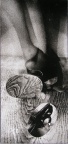 1977, 372 × 177 mm, raznice, reprodukce, lepenka