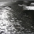 1977, 240 × 367 mm, raznice, fotografie, lepenka
