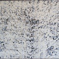 1987, 700×970 mm, papír, akryl, Nevermore, sig.