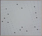 1968, 27,5×31,5 cm, dřevo, akryl, ocelové kuličky, Variabilní bodovy řád 1, sig.A, soukr.sb.110