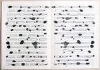 2005, 400×570 mm, dekalk, tuš, notový papír, sig.
