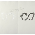 2010, 500×700 mm, dekalk, akryl, tužka, kovové piliny, papír
