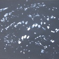 2009, 500 × 648 mm, akryl, papír