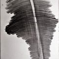 1986, 880×630 mm, tužka, akryl, papír, sig.