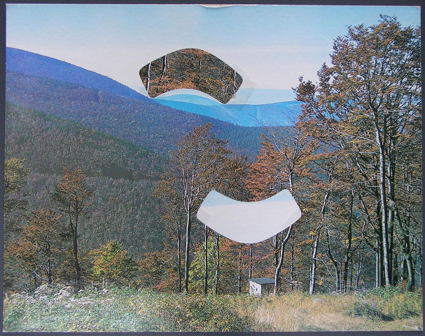 1977, 268 × 342 mm, raznice, reprodukce, lepenka