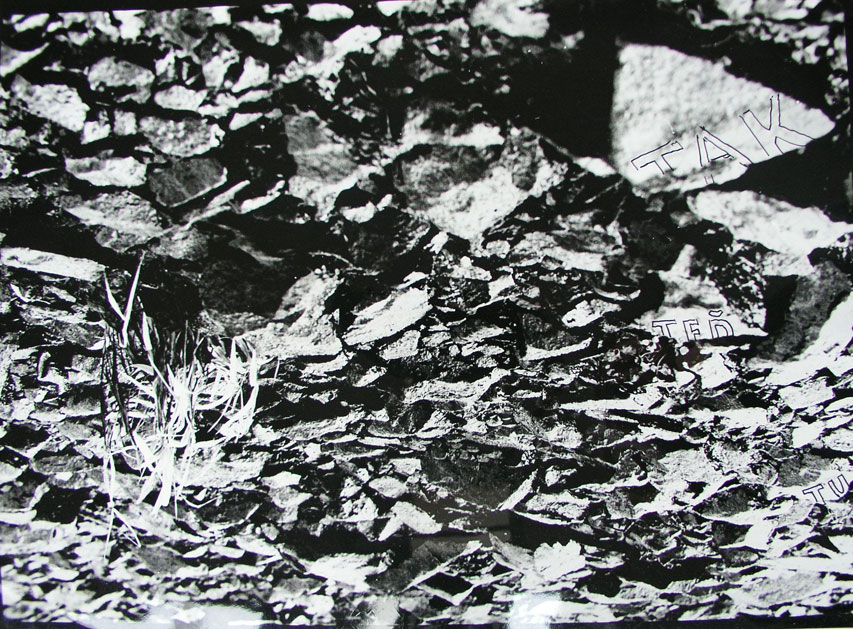 1975, 304 × 402 mm, tuš, fotografie