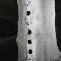 1995, prům. 37 cm, zrcadlo, strom, Protilehlé souvislosti, A