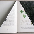 1985, 340×250 mm, sprej, kniha, sig.