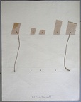 1971, 450×350 mm, koláž, provázek, papír, sig.