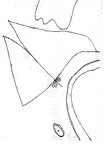 1965, 400×400 mm, tiskařská barva, papír, sig. sbírka J.Valocha NG 