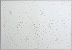 1967, 290×420 mm,  perforace, papír, sig.