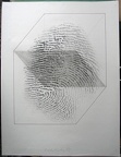 1977, 650×500 mm, frotáž, tužka, papír, sig., soukr. sb. 12