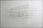 1977, 320×500 mm, frotáž, tužka, papír, sig.
