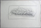 1977, 360×520 mm, frotáž, tužka, papír, sig.
