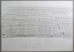 1978, 300×420 mm, frotáž, tužka, papír, sig.