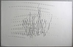 1978, 320×500 mm, frotáž, tužka, papír, sig.