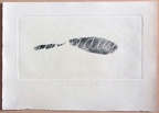 1976, 110×210 mm, reliefní tisk, otisk ruky, barva, papír, Zrcadlem, sig.