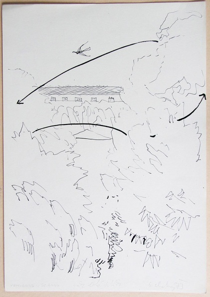 1973, 420×295 mm, tuš, papír, Záznam letu ptáka, sig., soukr. sb. 12