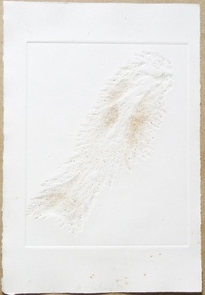 1970, 310×210 mm, reliéfní tisk, stopa rzi po železných pilinách, papír, Stopa magnetu, sig., líc