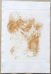 1970, 310×210 mm, reliéfní tisk, stopa rzi po železných pilinách, papír, Stopa magnetu, sig., líc, soukr. sb. 12