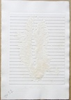 1970, 310×210 mm, reliéfní tisk, tuš,  papír, Stopa magnetu, sig., rub