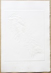 1970, 310×210 mm, reliéfní tisk, papír, Stopa magnetu, sig., rub