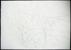 1984, 630×880 mm, tužka, papír, sig.