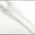 1986, 610×860 mm, tužka, papír, Máma, sig.